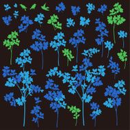 Plant illustration N5