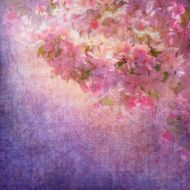 spring cherry blossom N6