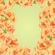 Seamless texture frame of hibiscus vector