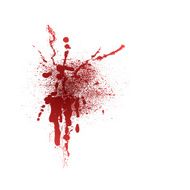 blot N4