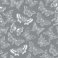 seamless pattern with decorative butterflies N27