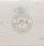 White wood texture background close up N2