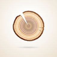section tree