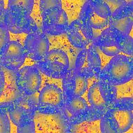 Abstract colorful background N236