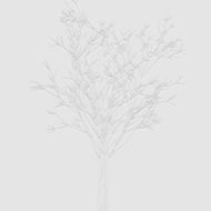 abstract gray tree pattern background N2
