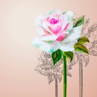 Decorative floral background N33