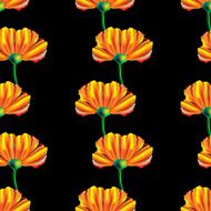 Seamless pattern with California poppies N2
