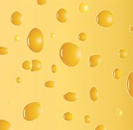 vector background texture of cheese N2