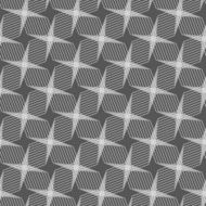 Monochrome pattern with light gray intersecting thin lines formi N2
