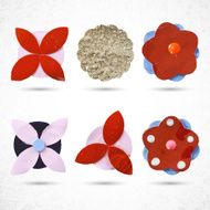Set of beautiful colorful flowers Vector illustration