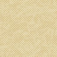 EPS10 vintage grunge old seamless pattern Vector texture N3