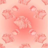 Seamless texture sea shells vector