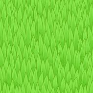 Grass - seamless texture N2