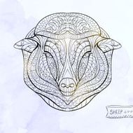 Patterned head of the sheep
