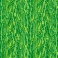 Green grass(vector seamless)