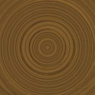 Growth rings illustration (dendrochronology)