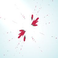 Colorful paint splashes