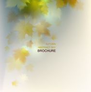 Autumn sky N3