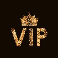 VIP design vector illustration N2