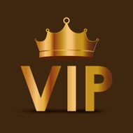 VIP design vector illustration N4