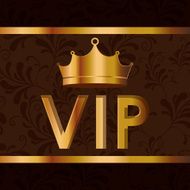 VIP design vector illustration N5