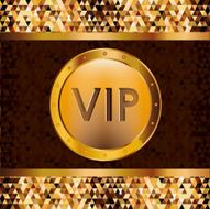 VIP design vector illustration N7