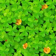 Saint Patrick&#039;s clovers seamless pattern with golden coins and