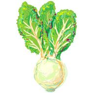 Kohlrabi