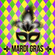 Black Mardi Gras mask with feathers on grid background
