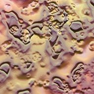 3D elevated fantasy square background with relief close up N2