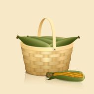 straw basket with a handle and reflection