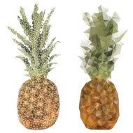 pineapple fruit triangle design isolated on white background