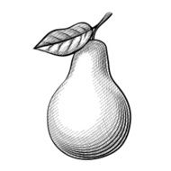 Etching pear