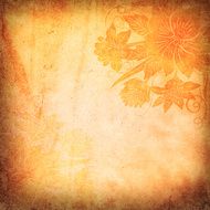 Grunge floral paper background N5