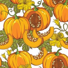 Vector botanical pattern with isolated pumpkins flowers and leaves N6