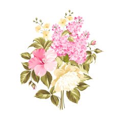 Spring syringa flowers