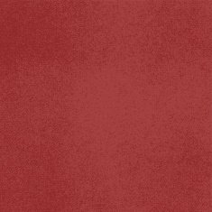 Vector canvas red color