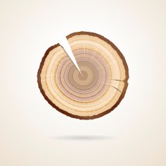 section tree