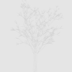 abstract gray tree pattern background N2