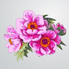 Decorative floral background N31