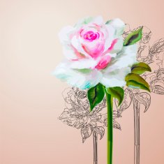 Decorative floral background N33
