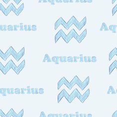 Aquarius seamless N2