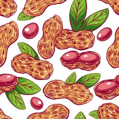 seamless background with peanuts N2