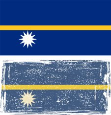 Nauru grunge flag Vector illustration N2