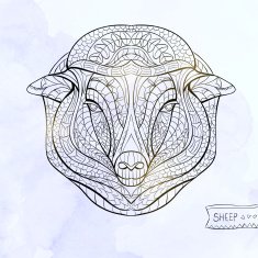 Patterned head of the sheep