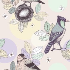 Vintage sketch background with birds