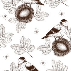 Vintage sketch background with birds N2