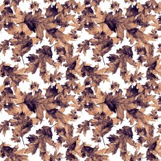 Seamless texture with colored watercolor maple leaves N8