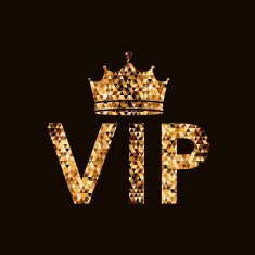 VIP design vector illustration N2