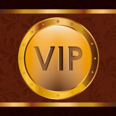 VIP design vector illustration N8